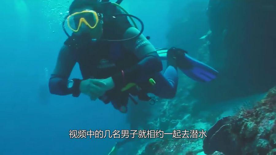 捡到被弃养的猫咪怎么办？